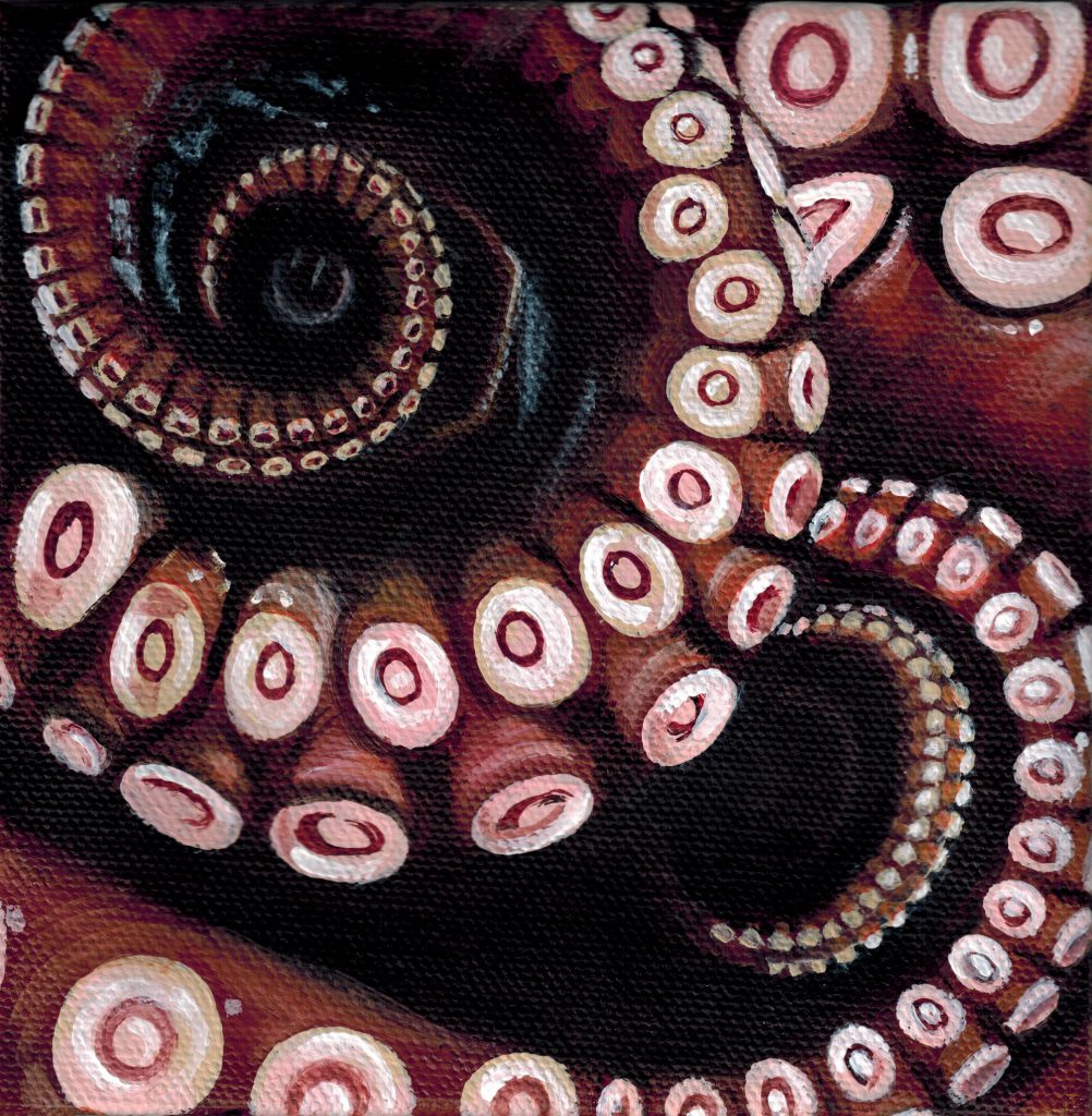Oval Octopus 1